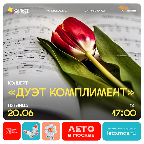 Концерт "Дуэт Коплимент"